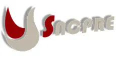 Logo Syndicat National de Chirurgie Plastique Reconstructrice et Esthétique